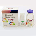 Apex Formulations apex-formulations-ahmedabad-pharma-franchise-products